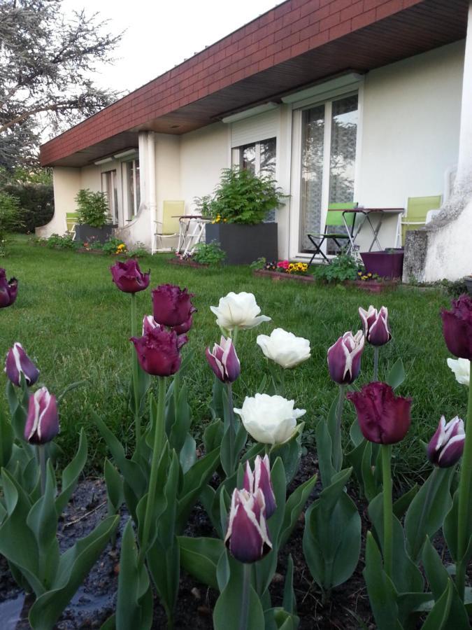 Les Jardins Du Forez Hotel Montrond-les-Bains